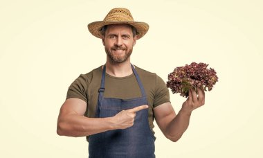 Önlüklü, şapkalı, marullu, beyaz tenli bir adam. işaret parmağı.