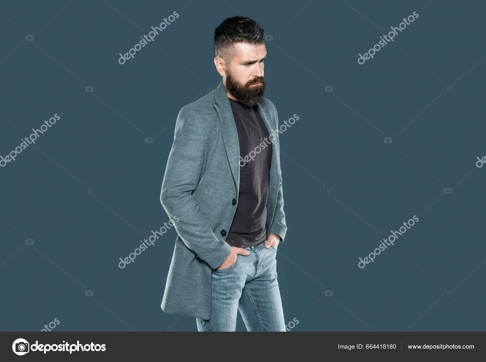 Ambicioso Barbudo Maduro Chico Desgaste Casual Gris Fondo — Foto de stock  #664418180 © stetsik, image size:1600x1192