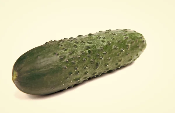 Ripe Whole Organic Green Cucumber Vegetable Isolated White — Photo