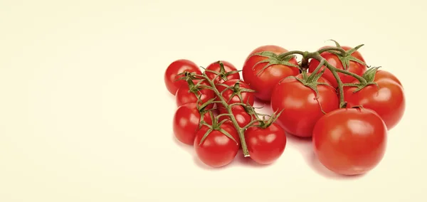 Different Size Bunch Red Cherry Tomatoes Vegetables Isolated White Copy — Fotografia de Stock