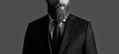 Girişimci görüşü resmi giysiler giyer. Girişimcinin stüdyo çekimi. Takım elbiseli ve kravatlı bir girişimci. Takım elbiseli girişimci gri arka planda izole edildi