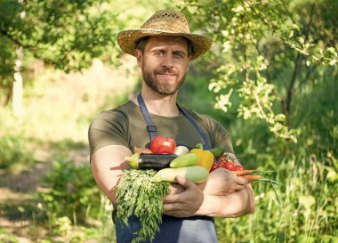 rural worker in straw hat hold fresh ripe vegetables.
