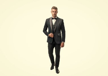 Beyaz arka planda papyonlu, hırslı, zarif bir garson. tam uzunluk.