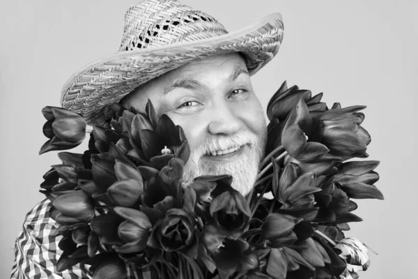 幸せな老人肖像画で帽子ホールド春チューリップ花上の黄色の背景 — ストック写真