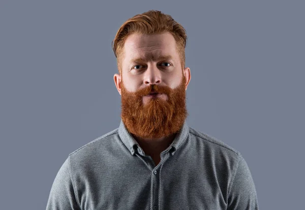 Portrait Irish Man Isolated Grey Bearded Man Unshaven Face Studio — Stock Photo, Image