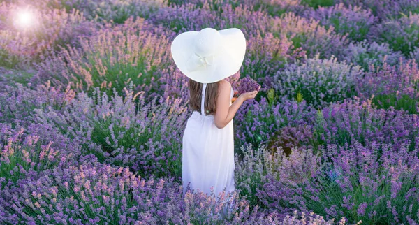 Teenie Mädchen Posiert Lavendelblüten Schönes Mädchen Lavendelfeld Umgeben Von Blumen — Stockfoto