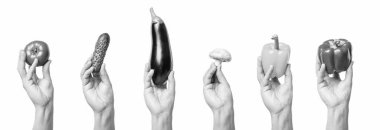 Beyaz arka planda bulunan çeşitli renkli organik sebzeler..