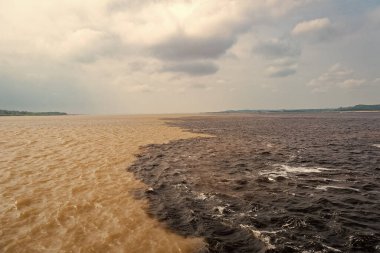 Amazon ve Rio Negro nehirlerinin doğal su manzarası, Brezilya. Doğanın sularla buluşan su manzarasının fotoğrafı. Nehrin doğal su manzarası. Seyahat yeri olarak doğa su manzarası.