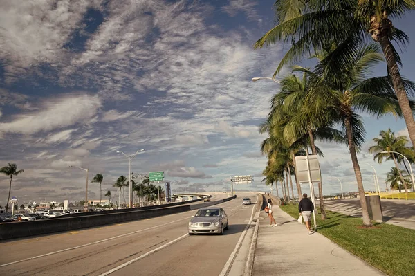 Miami Florida Usa Ledna 2016 Dálnice Miami Floridě Palmami — Stock fotografie