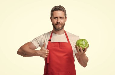 man in apron with cabbage vegetable isolated on white. thumb up.