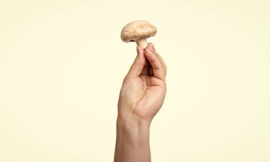 champignon vegetable in hand isolated on white background.