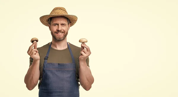 stock image greengrocer in apron and hat with mushroom vegetable isolated on white. copy space.