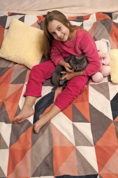 Cheerful Teen Girl Pet Cat Teen Girl Pet Cat Bed — Fotografia de Stock