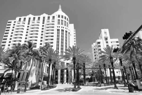 Miami Beach Florida Abril 2021 Collins Avenue Palm Trees Miami — Foto de Stock