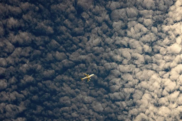 Wizerunek Samolotu Samolot Niebie Samolot Pokazuje Koncepcję Lotnictwa Lot Samolotem — Zdjęcie stockowe