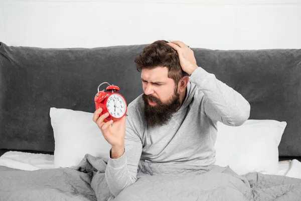 Perplexed guy scratching head holding alarm clock being in bed in morning, oversleep.