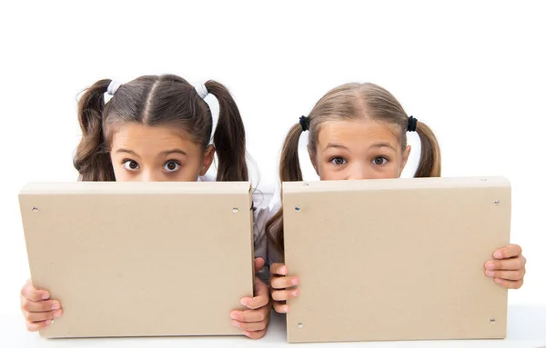 Listo Para Lección Escolar Dos Chicas Escuela Educación Conocimiento Chicas — Foto de Stock