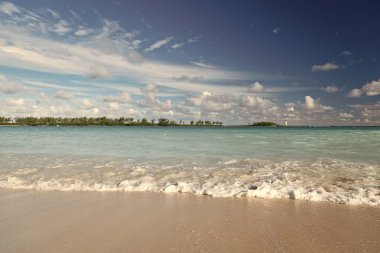 Miami 'de yaz tatili. Turkuaz suyla yaz tatilinde. Yaz tatili için deniz kenarına. Yaz tatili yerinin fotoğrafı.