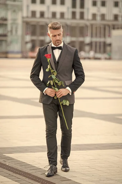 elegant man bridegroom in tuxedo. bridegroom wearing tuxedo walk outdoor. handsome bridegroom with red rose.