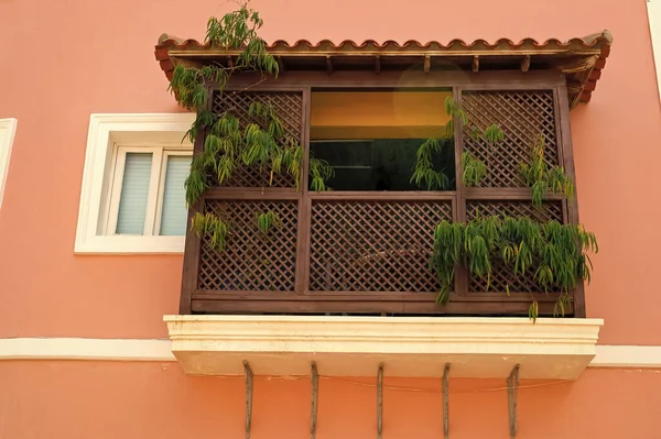 Bitkilerle Dolu Balkon Verandası Balkon Verandası Mimarisi Evin Balkon Verandası — Stok fotoğraf
