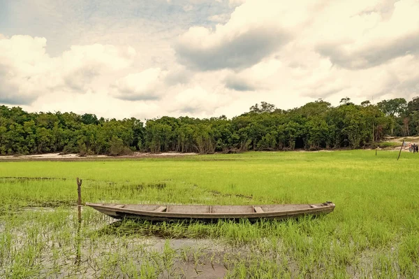 河边有划艇的风景 在河边划船的照片 划船在河边的自然 河边的木船 — 图库照片