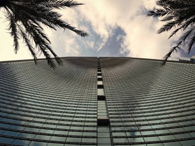 Camdan alçak gökdelen manzaralı bir bina. Palmiyeli gökdelen binası. Dış taraftaki gökdelen binasının fotoğrafı. Gökdelen mimarisi.