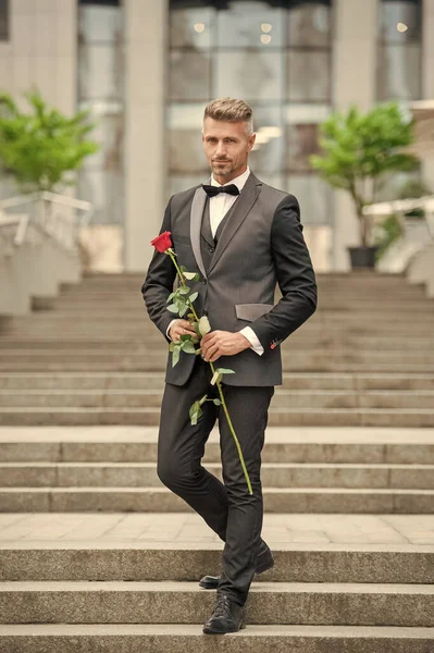 love day concept. tuxedo man with love rose walk outside. flower gift for love day.