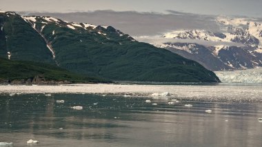 Buzlu deniz manzaralı dağ manzarası. Alaska 'daki Hubbard Buzulu doğası. Yeşil ve karlı dağ yamaçları doğa. Buzul Körfezi Doğası. Dağ kıyısı doğal dağ manzarası.