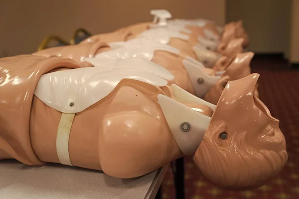Medizinische Trainingspuppen Reihen Sich Aneinander Manikins Für Menschliche Patientensimulatoren Anatomische — Stockfoto