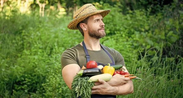 Άντρας Ψάθινο Καπέλο Κρατάει Φρέσκα Ώριμα Λαχανικά Γεωργικές Επιχειρήσεις — Φωτογραφία Αρχείου