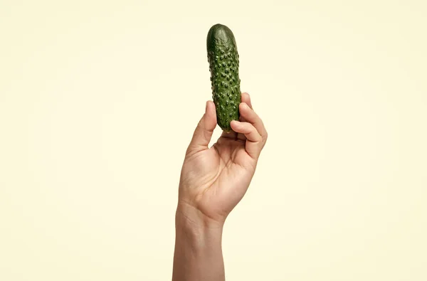 Cucumber Vegetable Hand Isolated White Background Organic Food — Fotografia de Stock