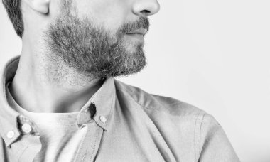 Stüdyoda sakallı ve çeneli bir adam. Sakallı bir adamın fotoğrafı. Sakallı, sıradan tişörtlü bir adam. Gri arka planda sakallı bir adam..