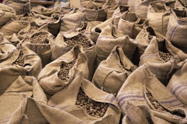 Çuvallar dolusu hindistan cevizi. Hindistan cevizli çuvallar. Çuvallar ve hindistan cevizi. Depodaki çuvallarda hindistan cevizi fotoğrafı..