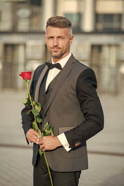Sevgililer Günü konsepti. Sevgililer Günü gülü olan olgun siyah smokinli adam. Sevgililer Günü için çiçek hediyesi.