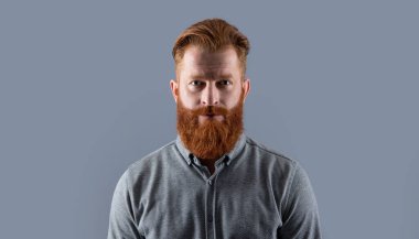 İrlandalı adam. Kızıl sakallı ve bıyıklı sakallı adam. Ciddi traşsız adam stüdyosu Griler 'de izole edilmiş..