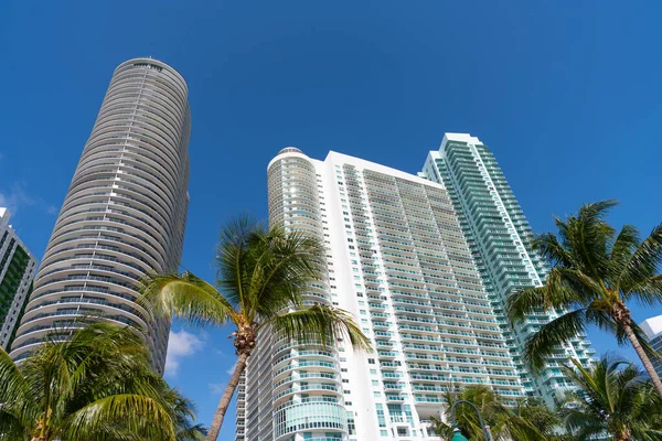 Budynek Wieżowca Miami Palmami Zdjęcie Budynku Architektury Drapacza Chmur Wysoki — Zdjęcie stockowe