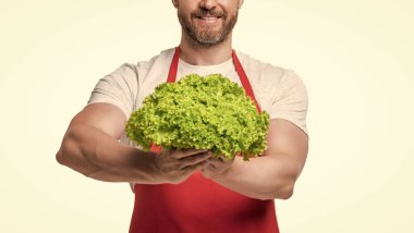 Önlüklü bir adamın beyaz üzerinde taze marullu görüntüsü..