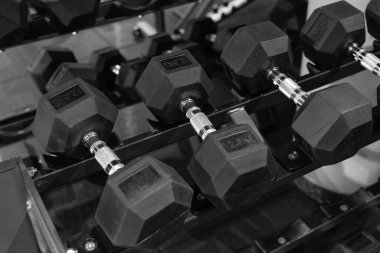 Spor salonundaki halterleri çalıştırın. Dumbell fitness antrenmanına hazır. Spor malzemeleri. Dumbbell spor egzersizi için hazır..