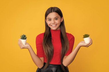 Sarı arka planda kaktüsü olan gülümseyen çocuk..