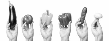 ripe assorted organic vegetables in hand isolated on white background.