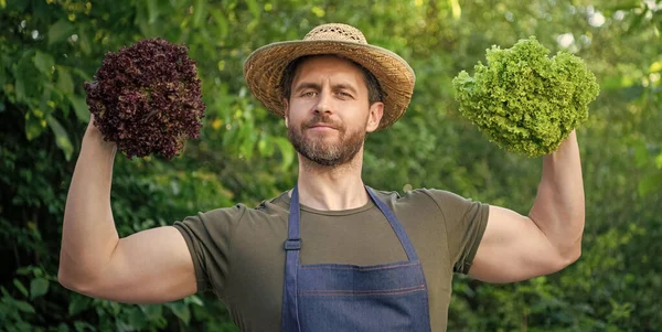 Kräftiger Mann Gemüsehändler Mit Strohhut Und Salatblättern — Stockfoto