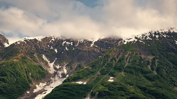山の海岸自然の高山の風景の自然 完璧な眺めだ 山の景色 米国アラスカ州のハバード氷河の性質 雪のピーク自然と緑の山の斜面 — ストック写真