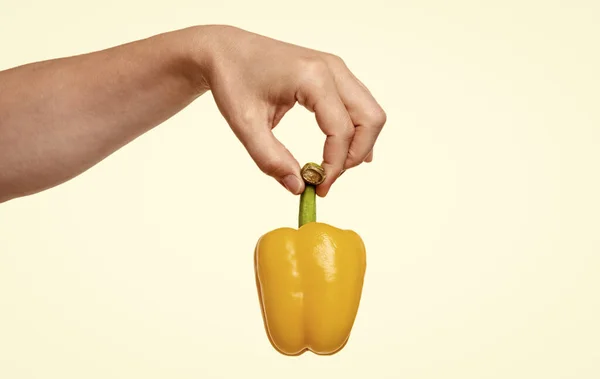 Organic Sweet Pepper Vegetable Hand Isolated White Background — Foto de Stock