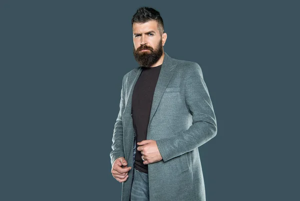 Bearded Confident Man Casual Grey Background — Stock Photo, Image