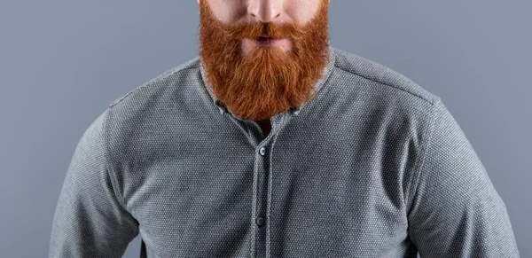 留着时髦胡子的男人 没有刮胡子的脸 留着红胡子和胡子 有胡子和胡须的爱尔兰男性演播室 灰色孤立 — 图库照片