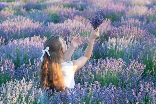 Sommermädchen Mit Lavendelblüten Einem Sommertag Mädchen Spazieren Sommer Durch Lavendelfelder — Stockfoto