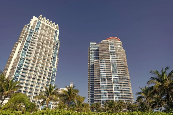 Moderní Mrakodrapy Výškových Budov Architektura Palmy Modré Obloze South Beach — Stock fotografie