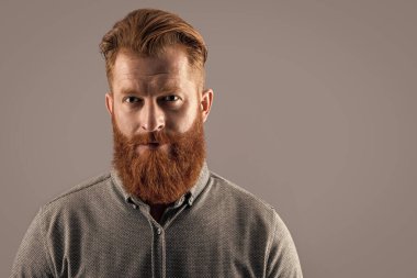 İrlandalı bir adamın portresi. Tıraşsız suratlı sakallı adam. Kızıl sakallı stüdyosu olan adam gri alanda izole edilmiş, kopyalama alanı.