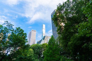 Central Park baharı ve New York 'un merkezindeki bina. ABD, New York, Central Park 'ın etrafındaki gökdelen. Gökdelenli doğa manzarası. New York Central Park.