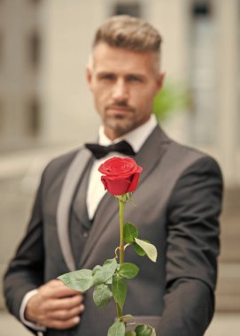 Nişan fikri. Yetişkin smokinli adam nişanı kutluyor. Nişan için gül hediyeli bir adam.